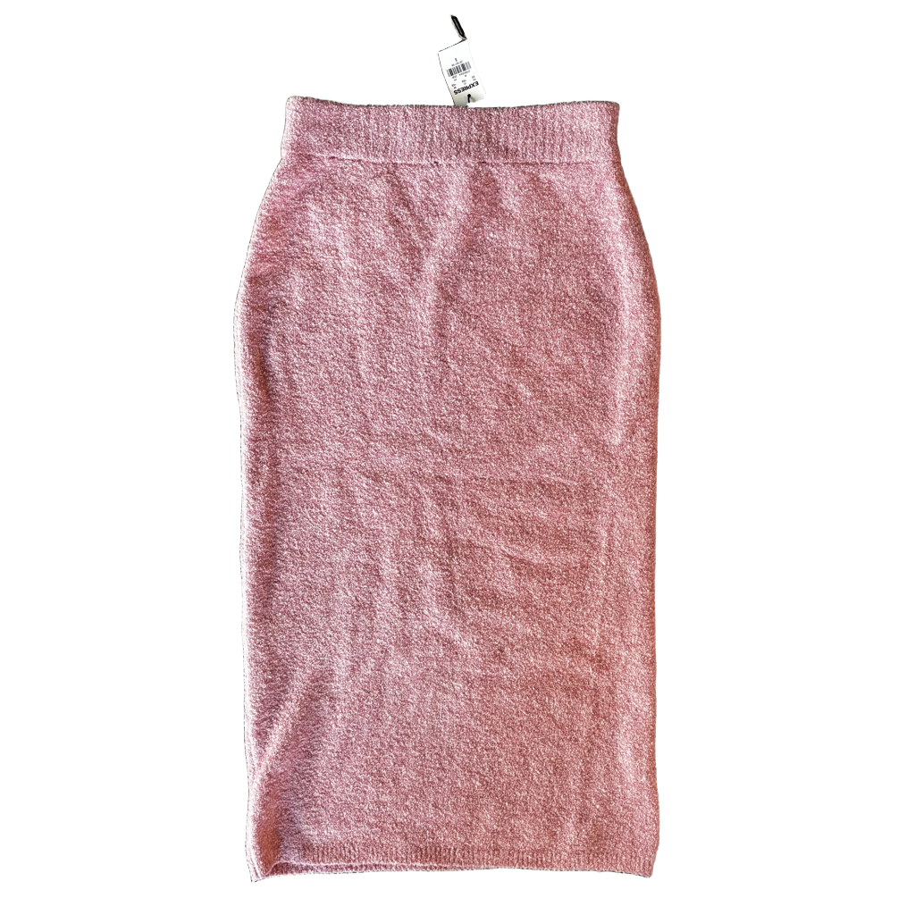Skirt Maxi By Express Size: S