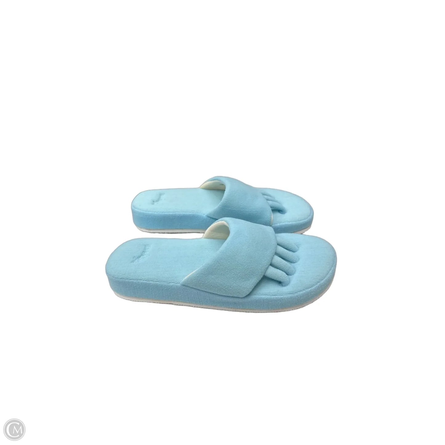 Sandals Flip Flops By Clothes Mentor, Size: M