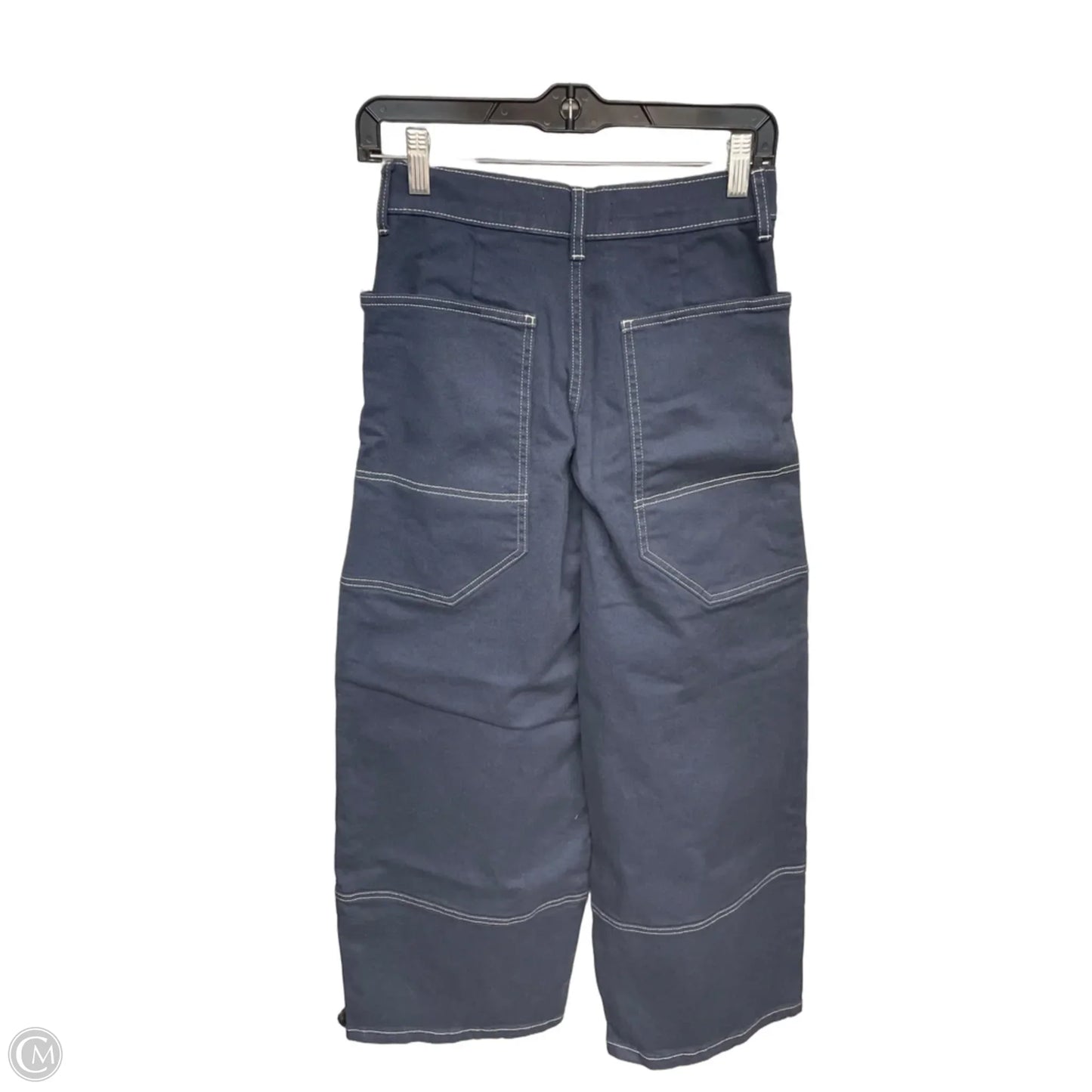 Pants Cargo & Utility By Everlane In Blue, Size: Xs