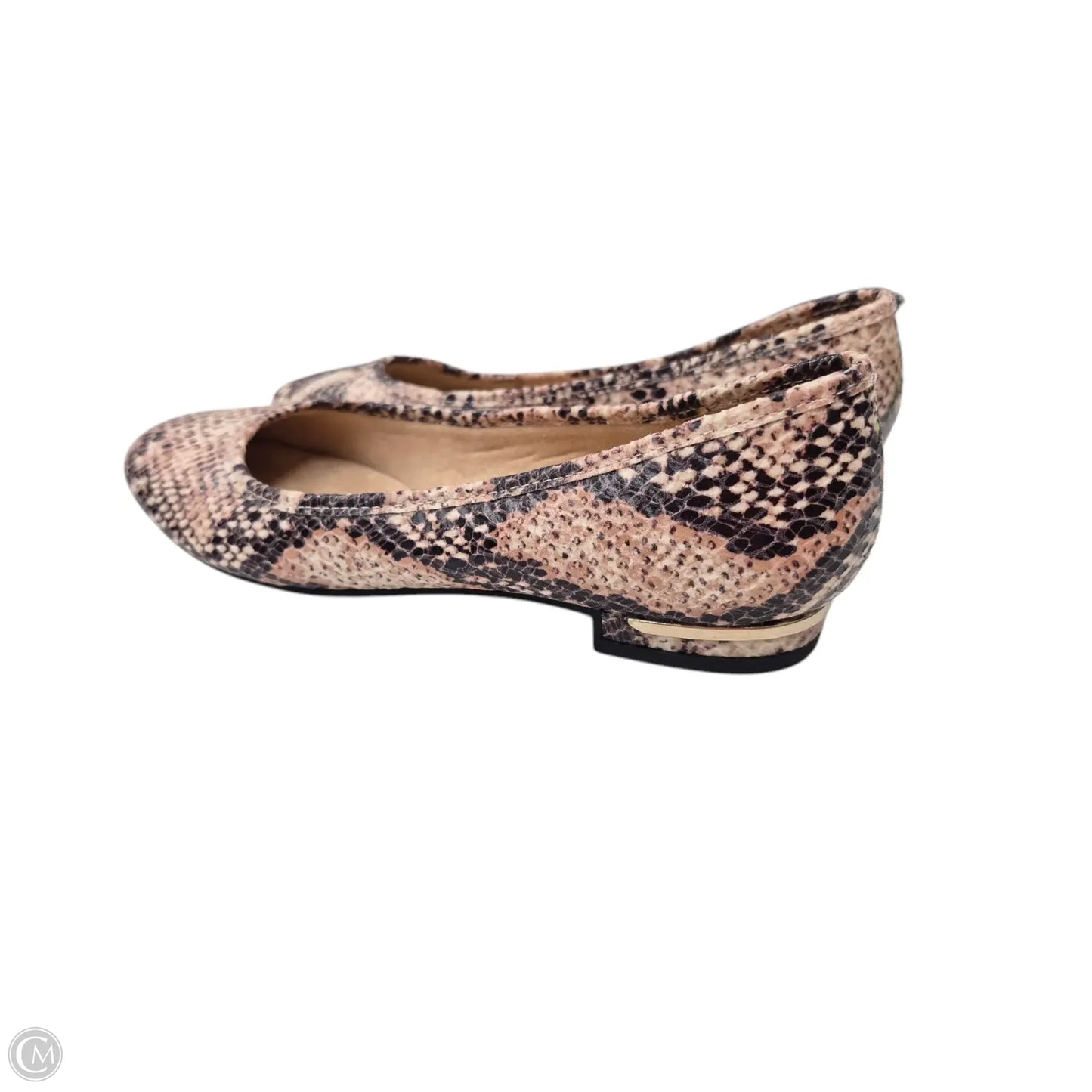 Shoes Flats By Velocity In Snakeskin Print, Size: 6