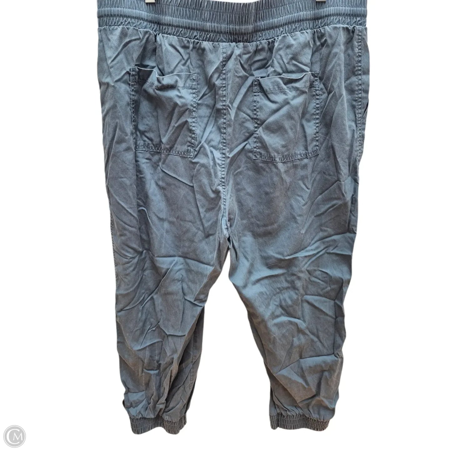Pants Cargo & Utility By A New Day In Blue, Size: Xl