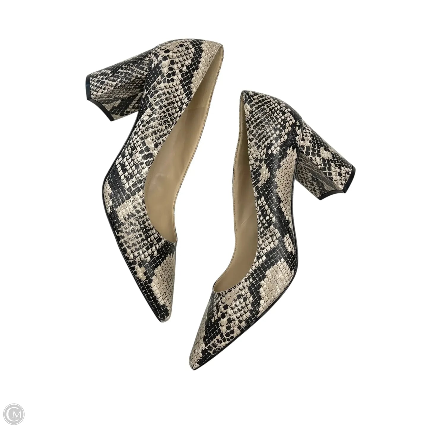 Shoes Heels Block By Marc Fisher In Black & Cream, Size: 8.5