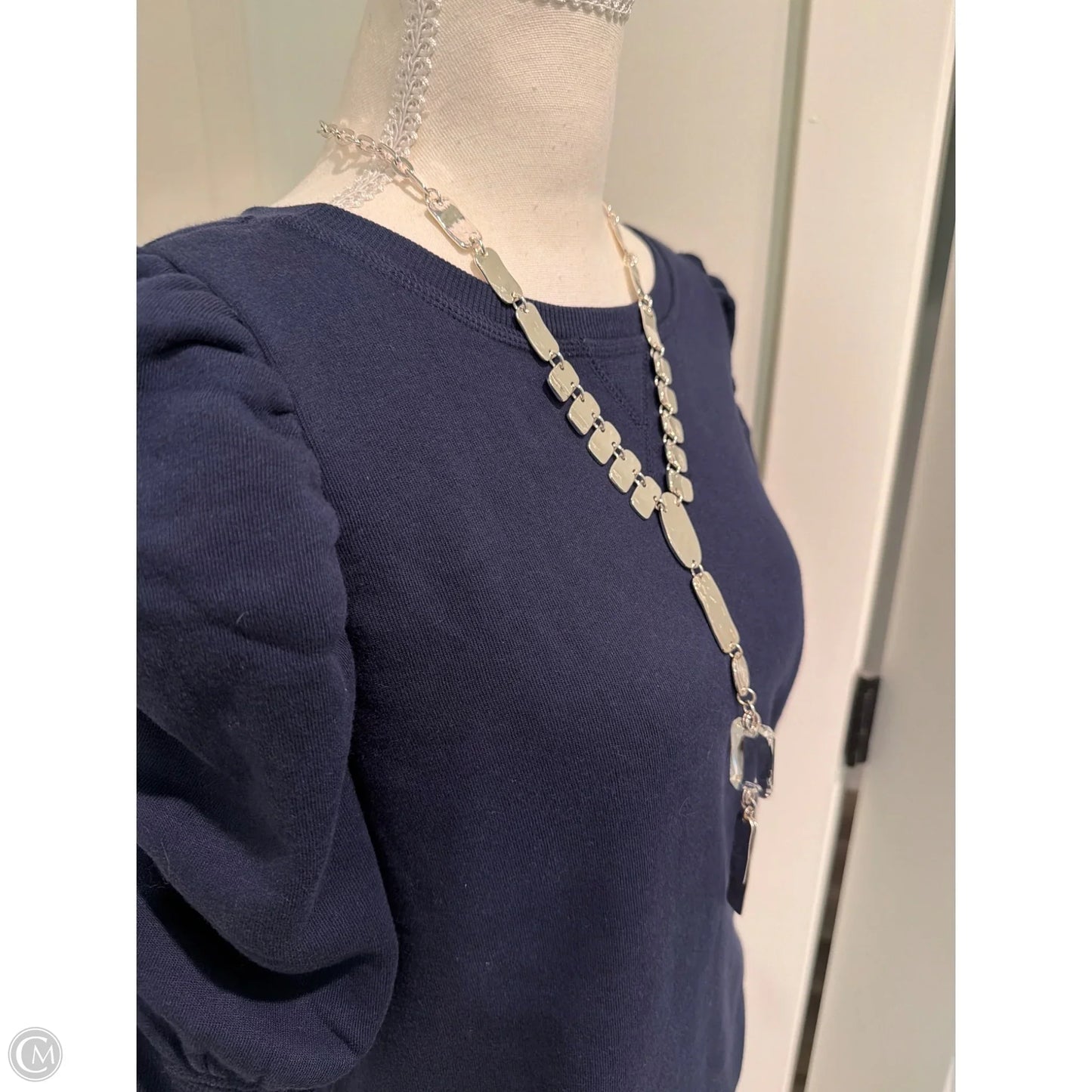 Necklace Lariat & Y-drop By Chicos