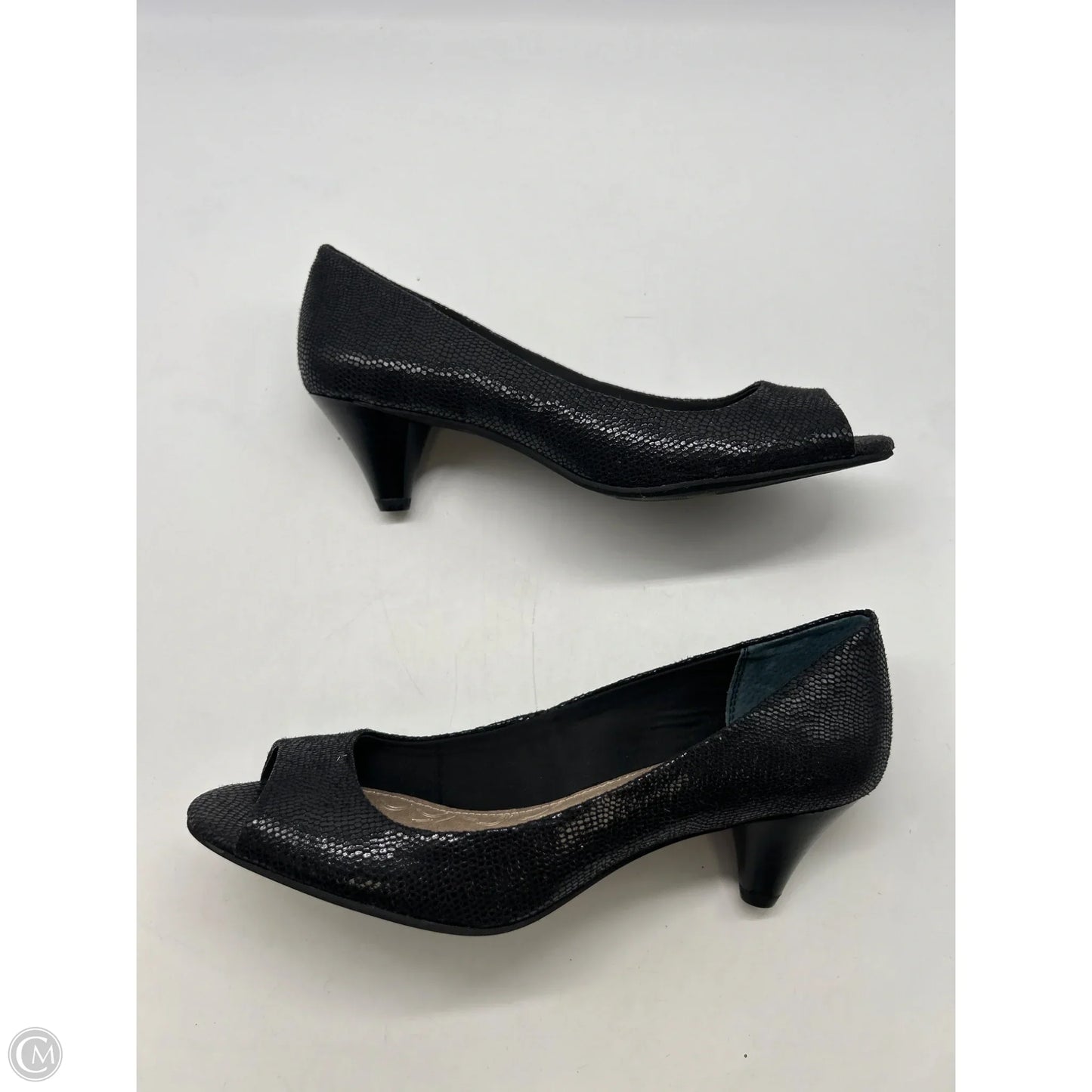 Shoes Heels Kitten By Giani Bernini In Black, Size: 8