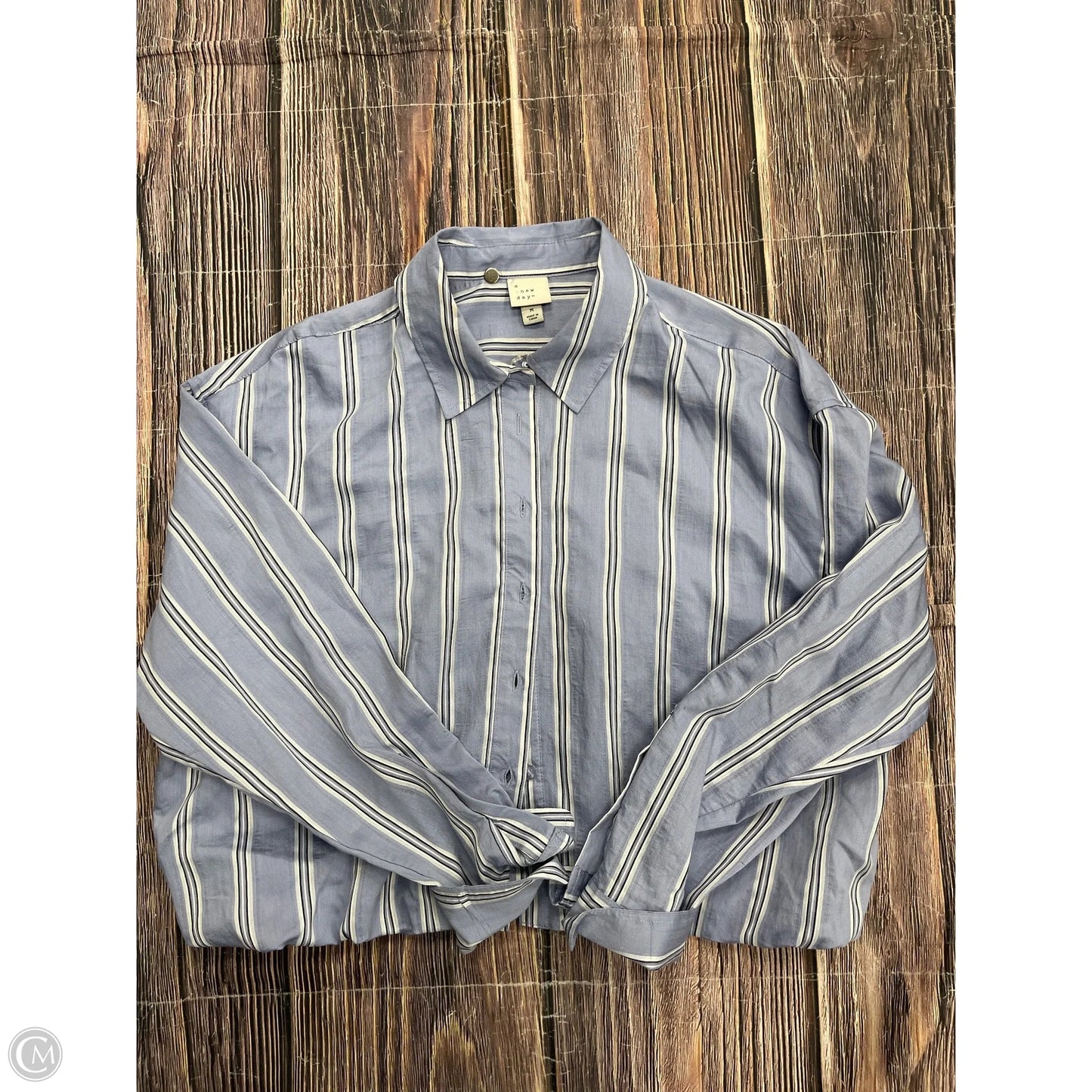 Top Long Sleeve By A Pea In The Pod In Blue, Size: Osfm