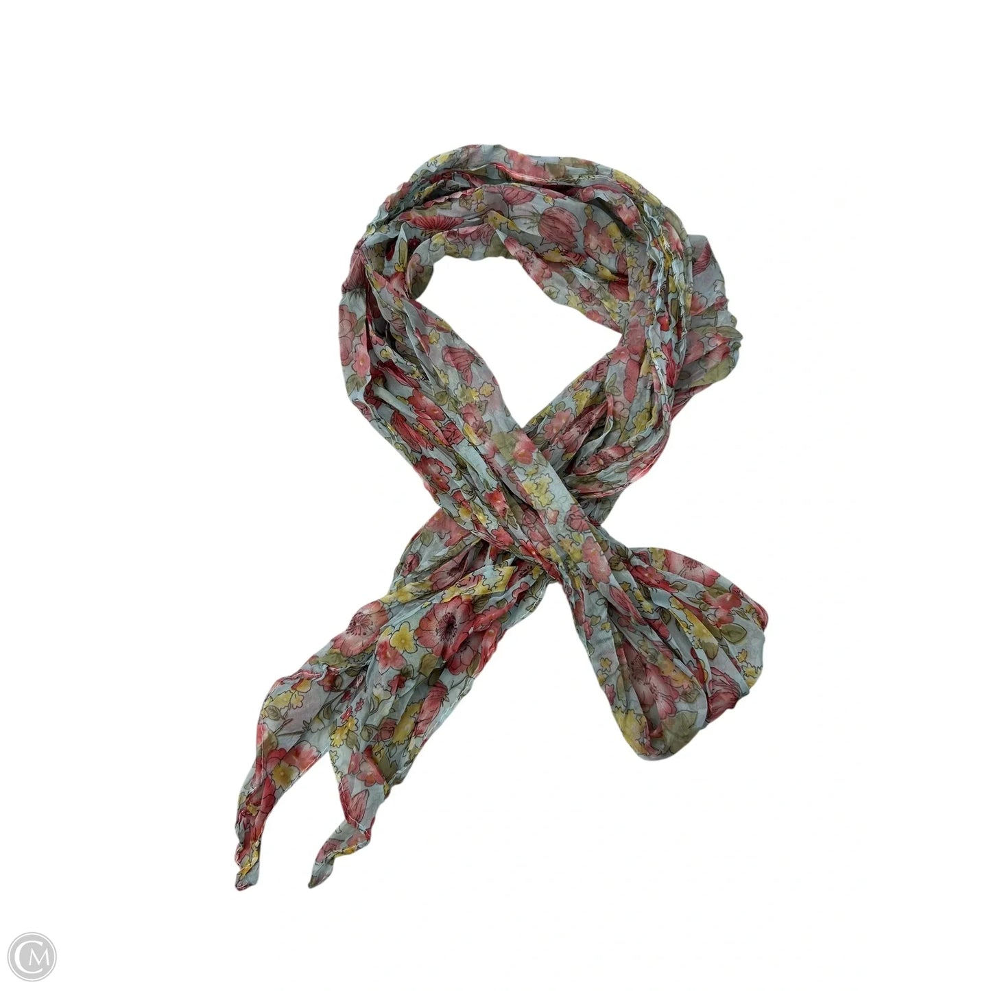 Scarf Long By Clothes Mentor