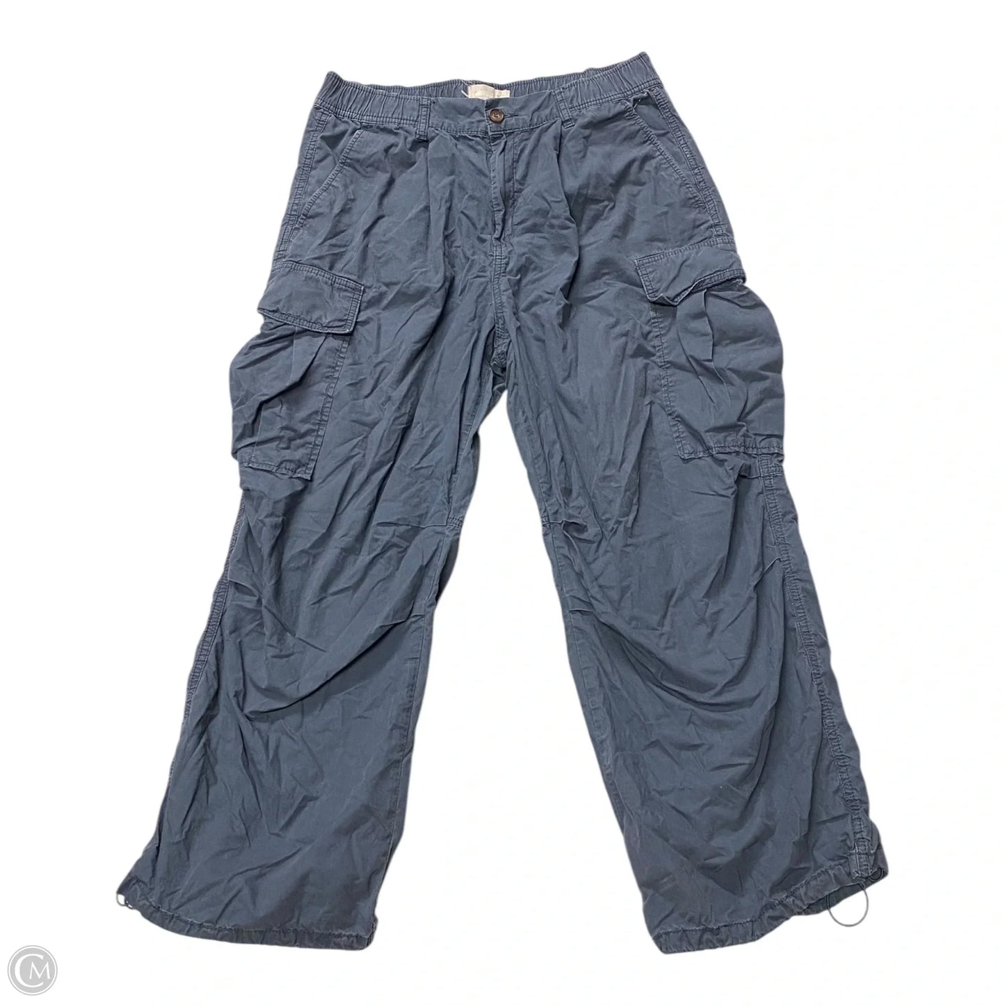 Pants Cargo & Utility By Anthropologie In Blue, Size: 10