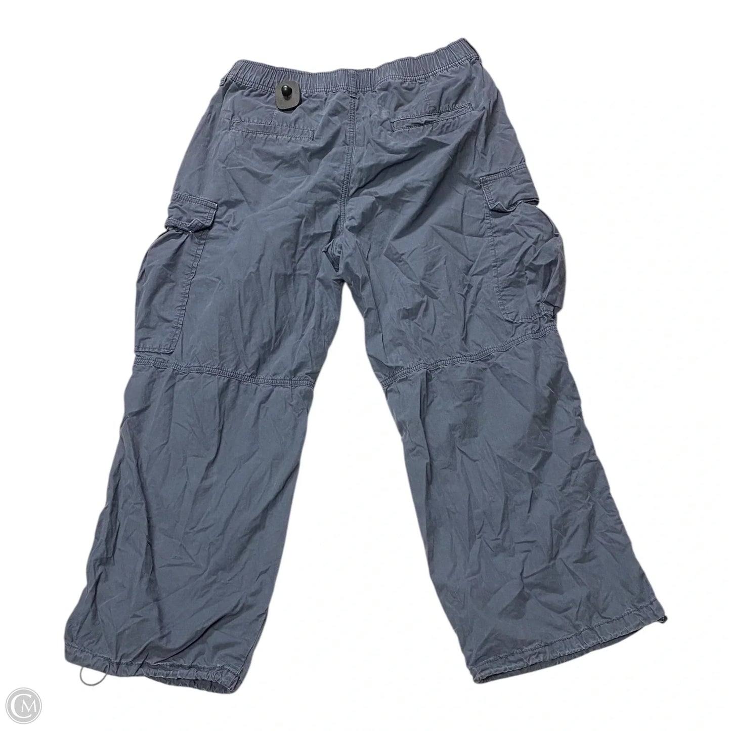 Pants Cargo & Utility By Anthropologie In Blue, Size: 10