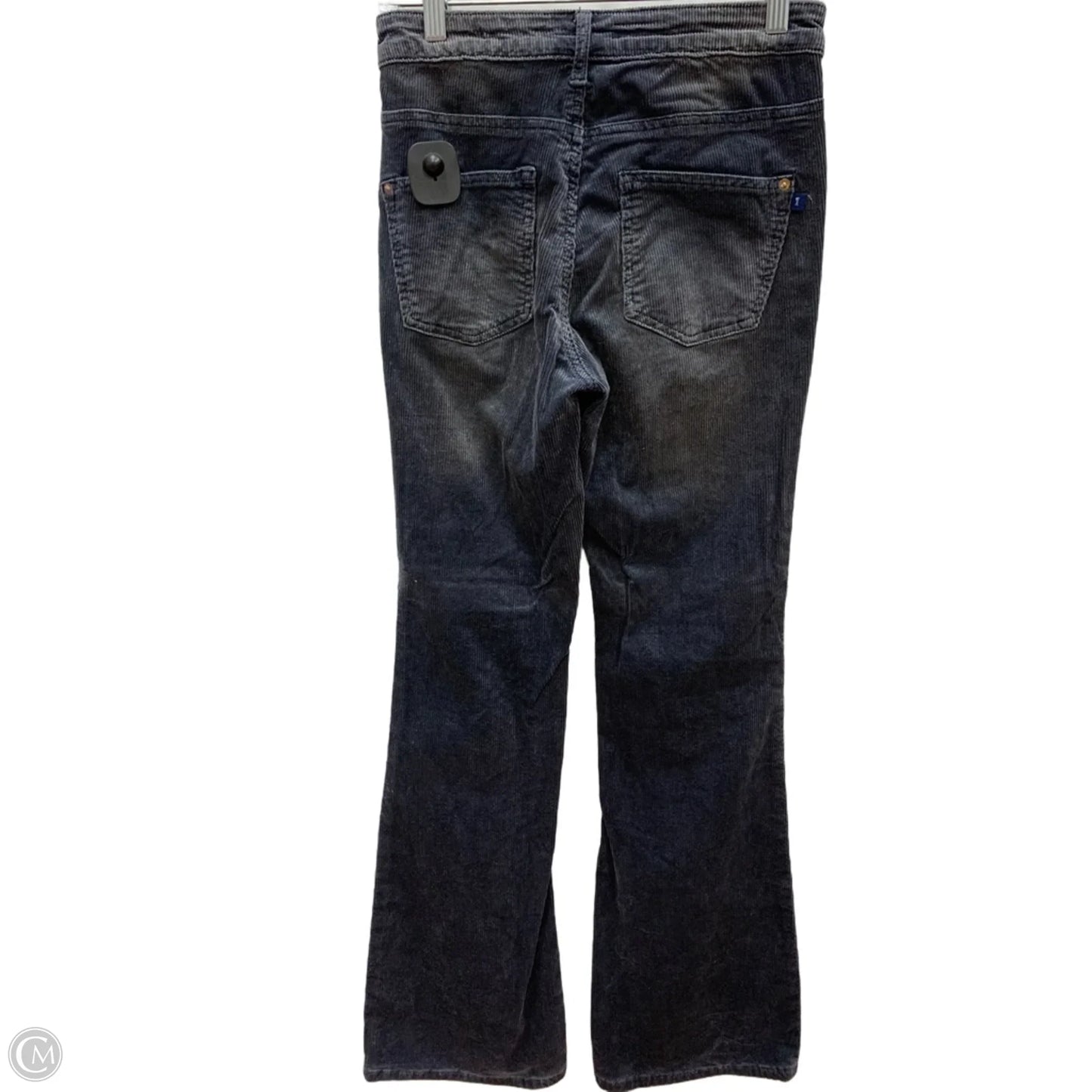 Pants Corduroy By Pilcro In Grey, Size: 2