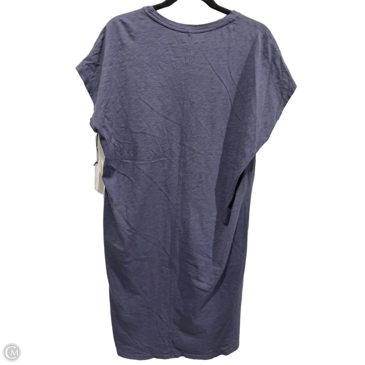 Dress Casual Short By Velvet By Graham & Spencer In Blue, Size: S
