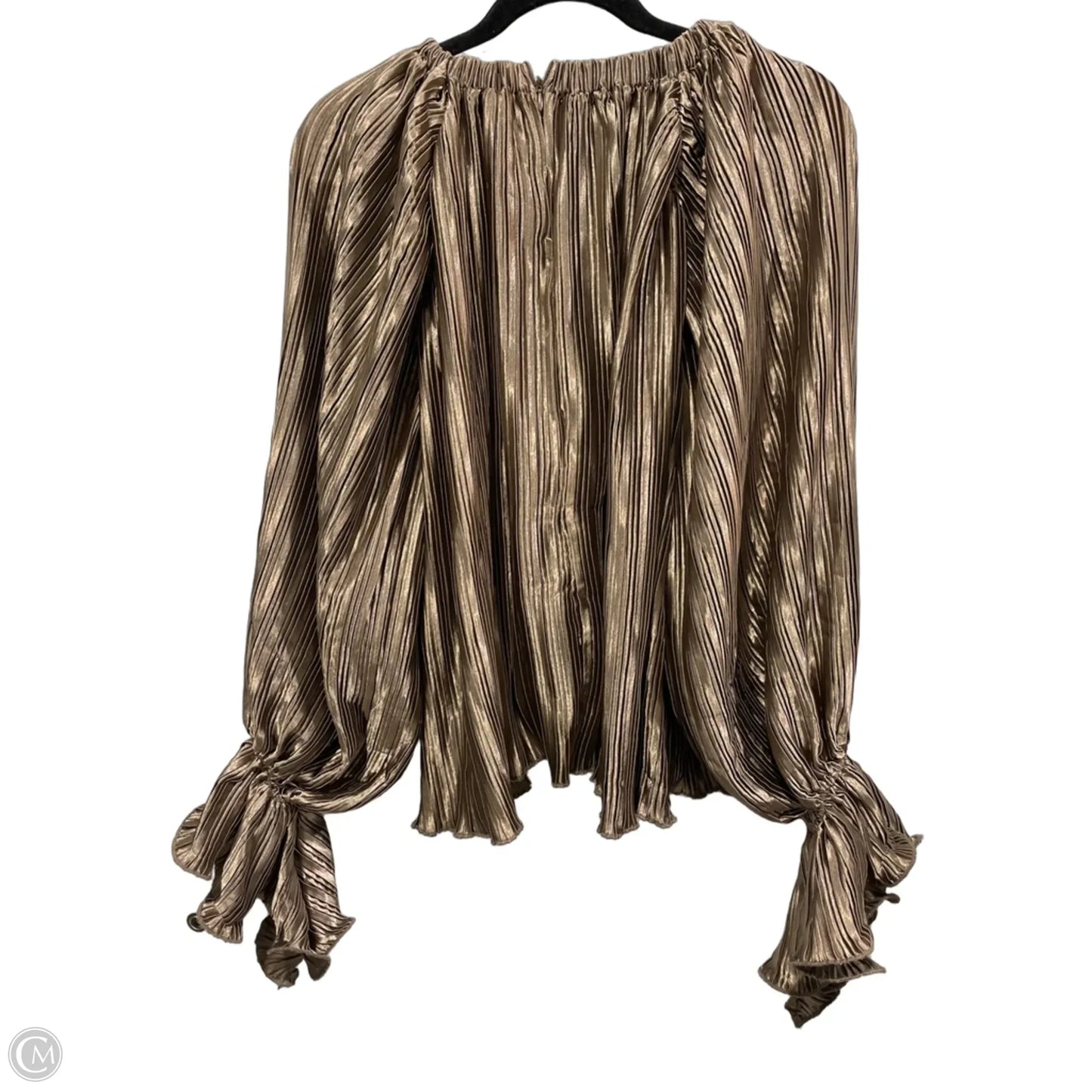 Blouse Long Sleeve By Clothes Mentor In Brown, Size: M