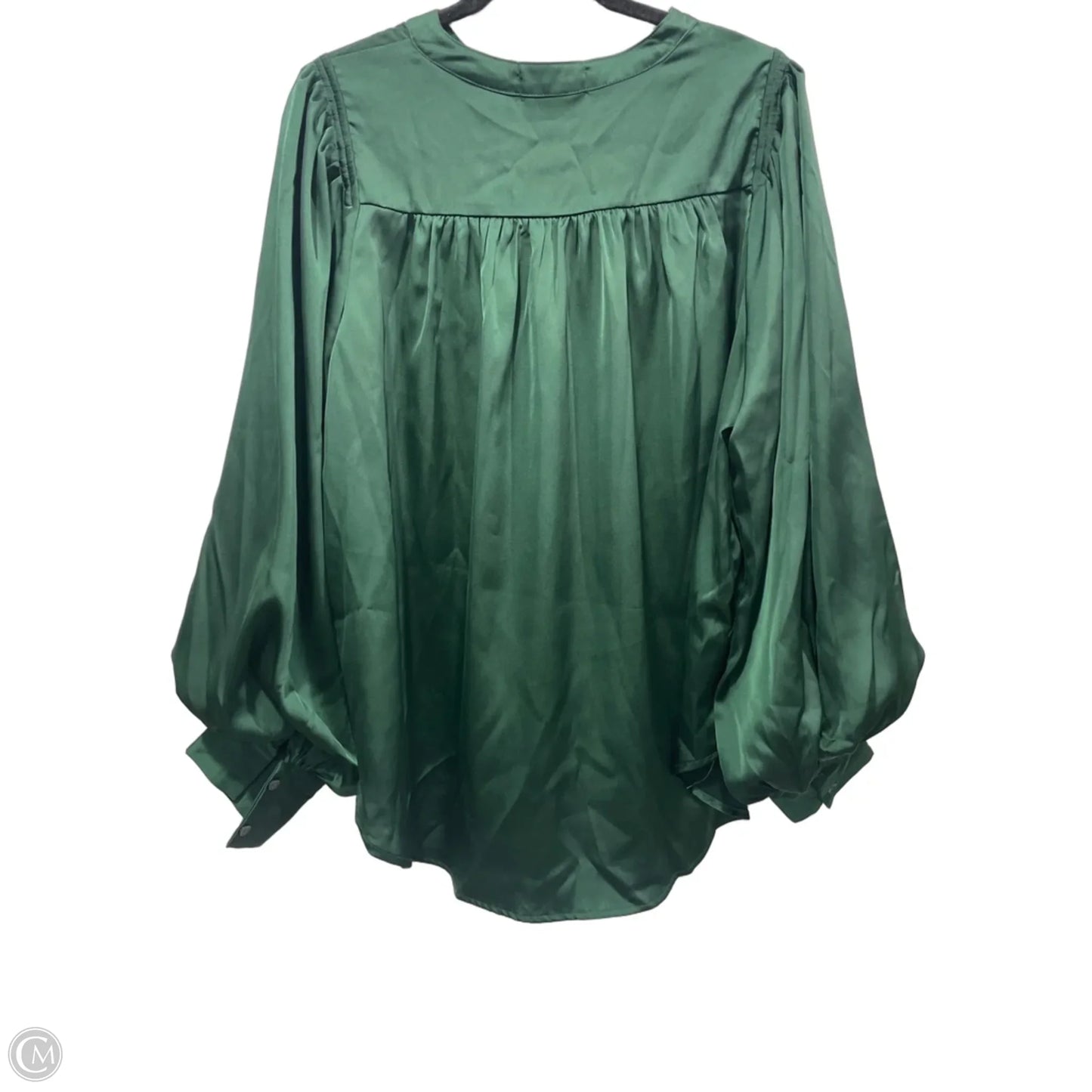 Blouse Long Sleeve By Clothes Mentor In Green, Size: L