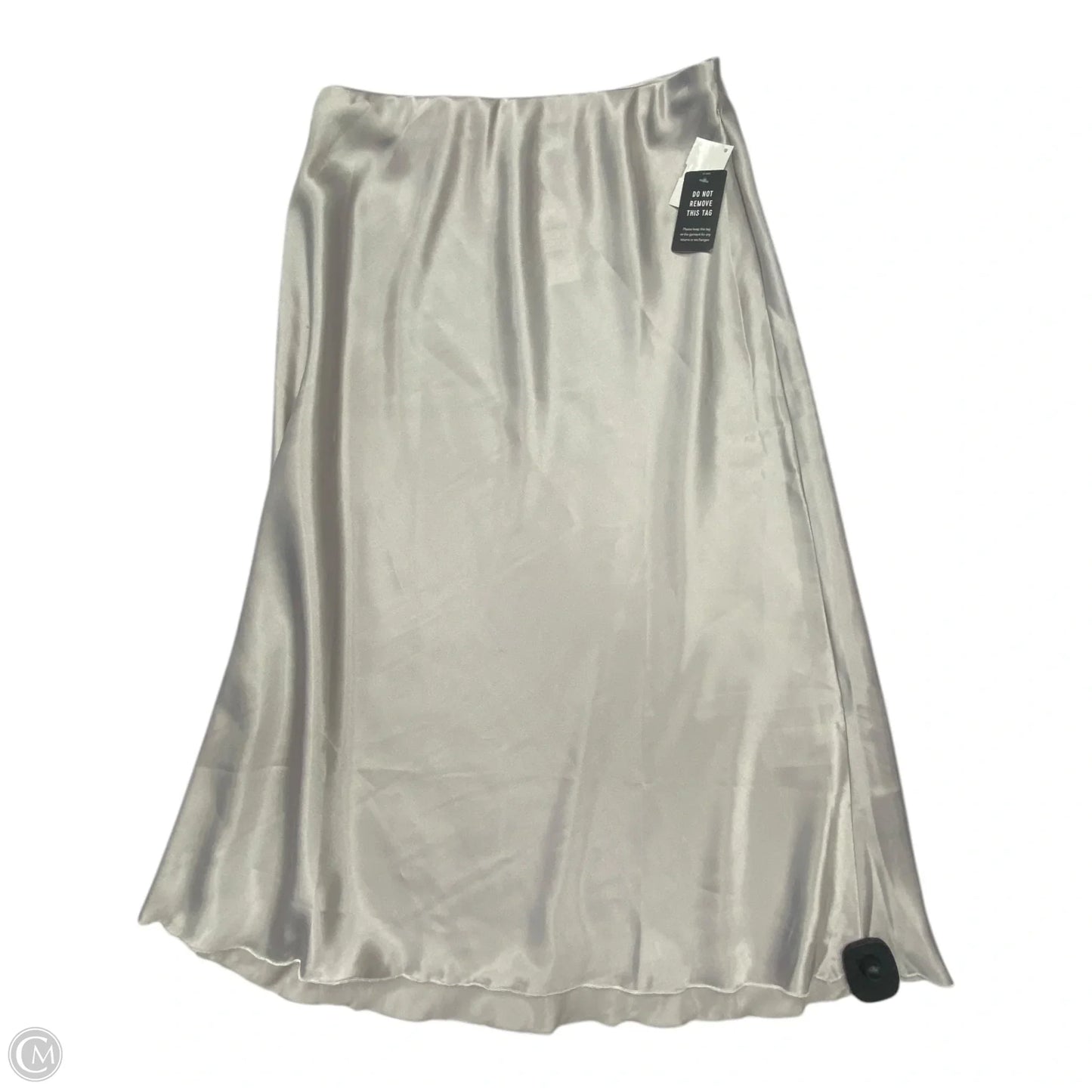 Skirt Maxi By Express In Silver, Size: S