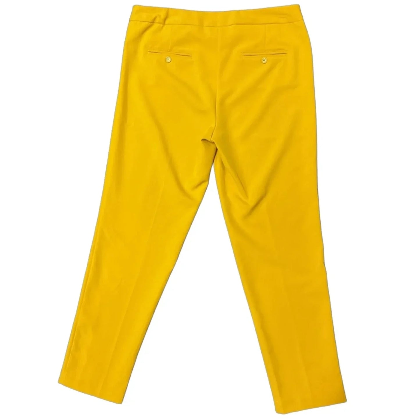 Pants Chinos & Khakis By Sharagano In Yellow, Size: 10