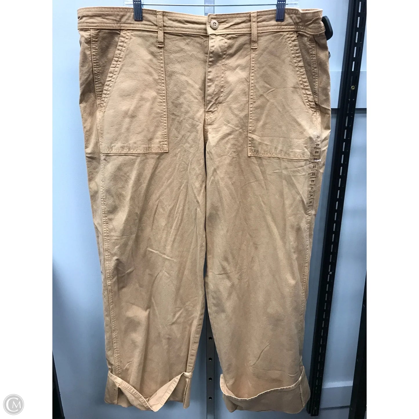 Pants Cargo & Utility By American Eagle In Tan, Size: 20