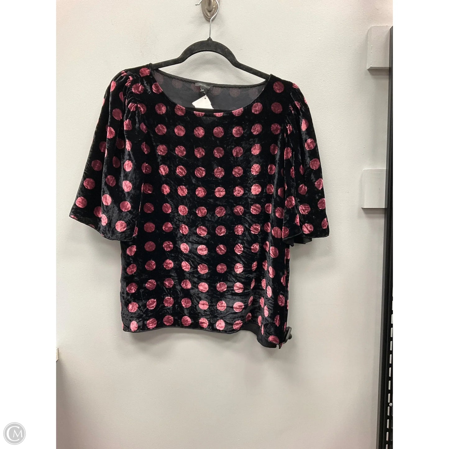 Top Short Sleeve By Ann Taylor In Polkadot Pattern, Size: Osfm