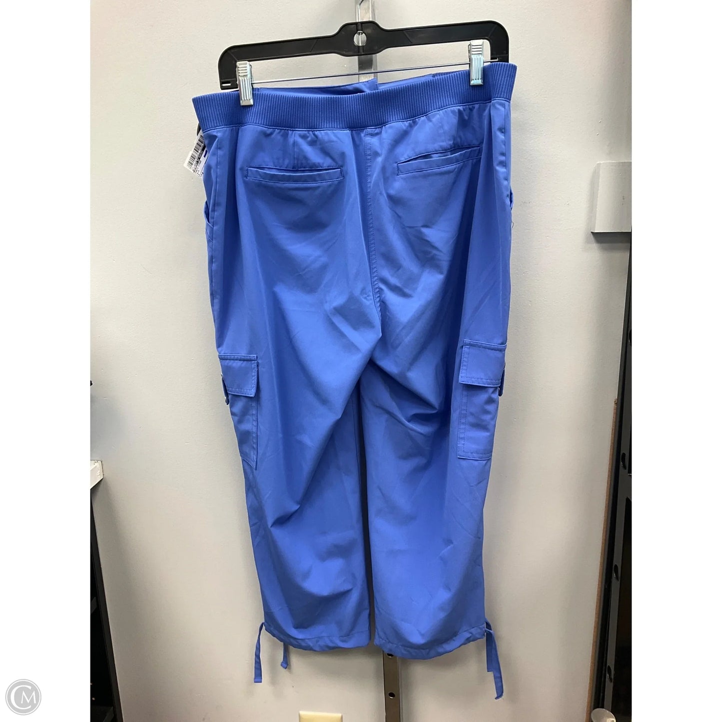 Pants Other By Zenergy By Chicos In Blue, Size: 8