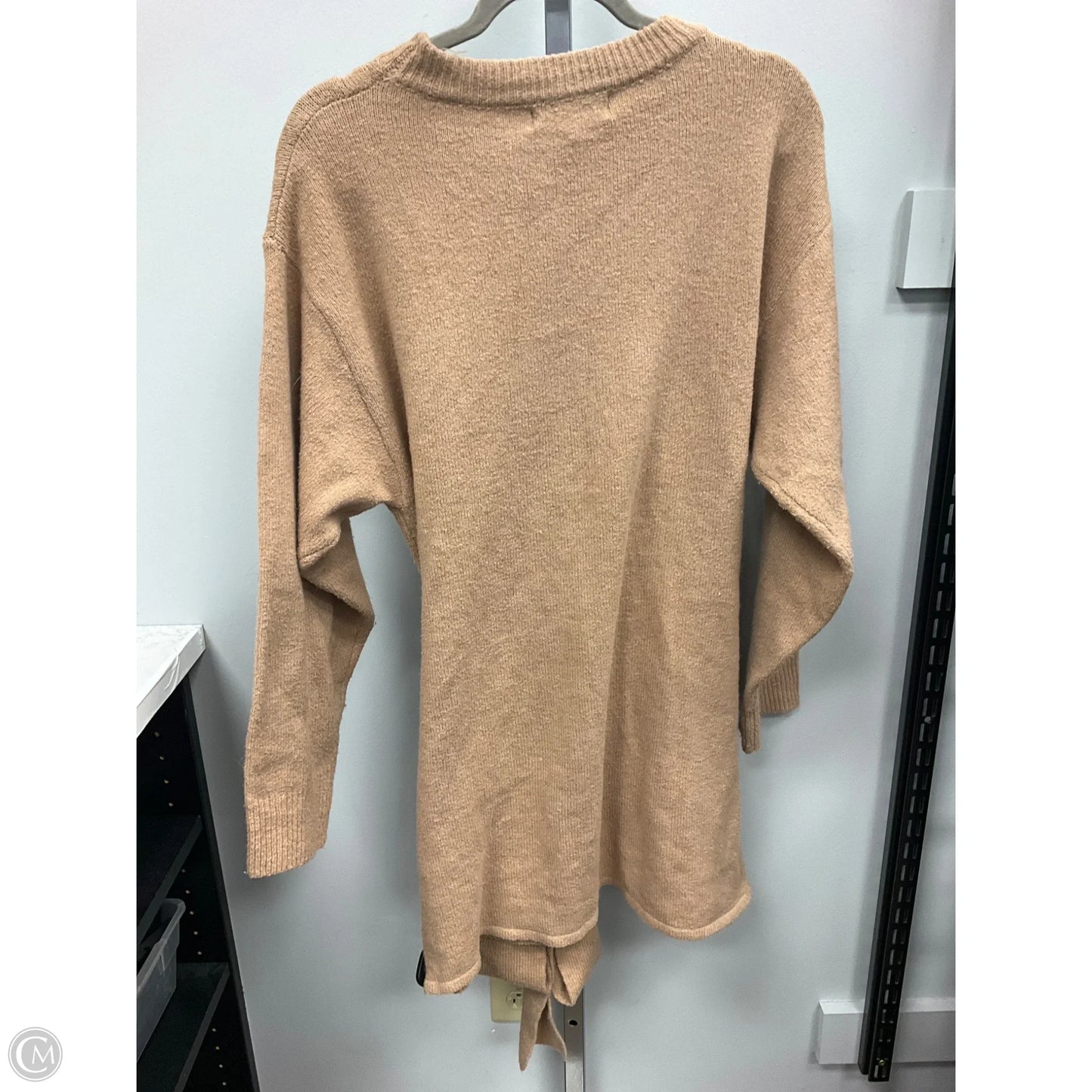 Sweater By Flying Tomato In Tan, Size: L
