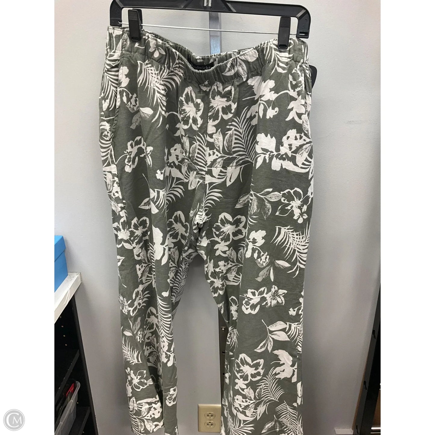 Pants Linen By Chadwicks In Green & White, Size: Lp