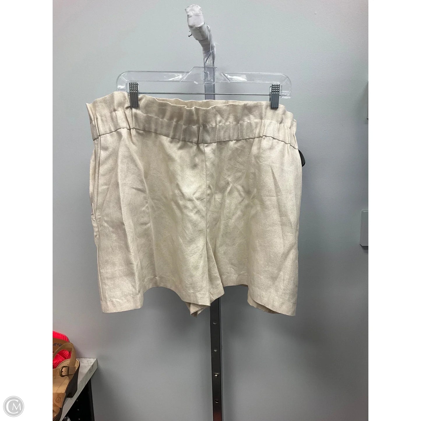 Shorts By Express In Cream, Size: Xl