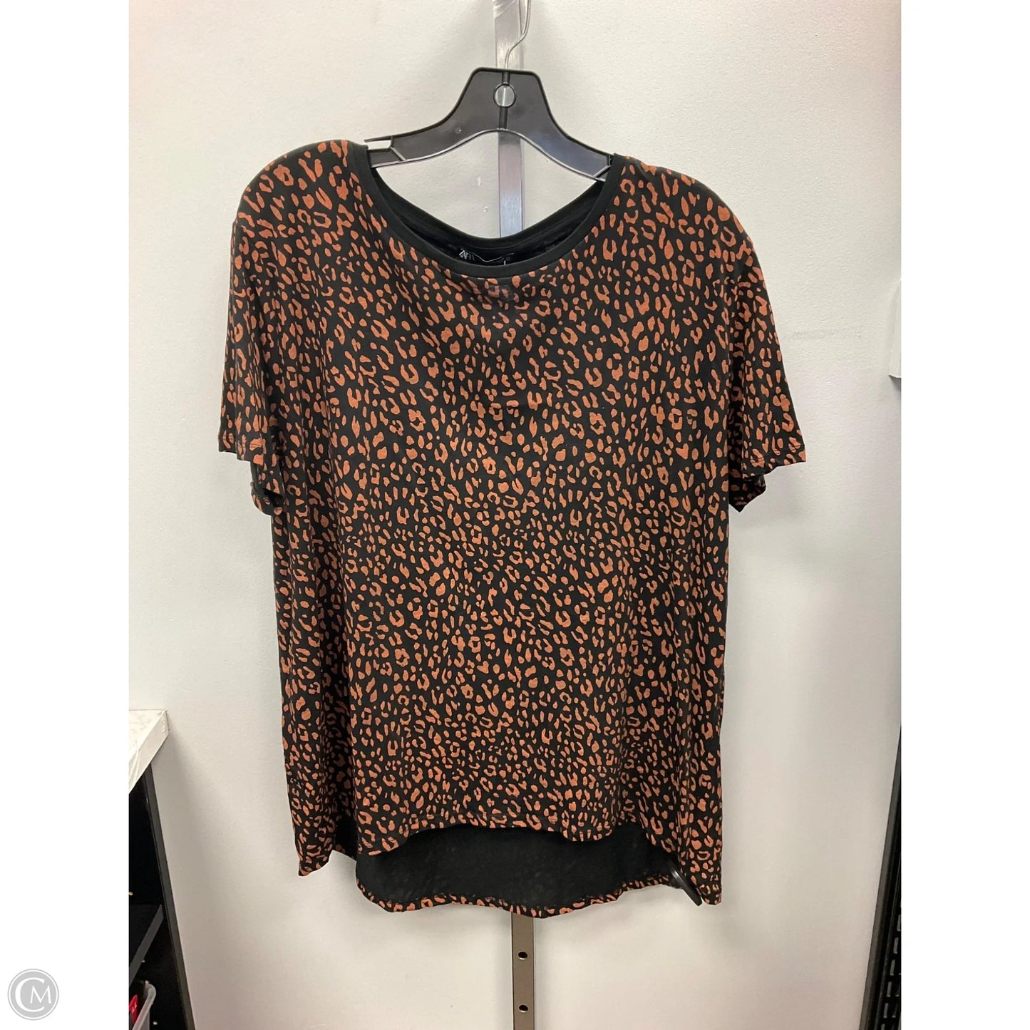 Top Short Sleeve By Zara In Animal Print, Size: Xl