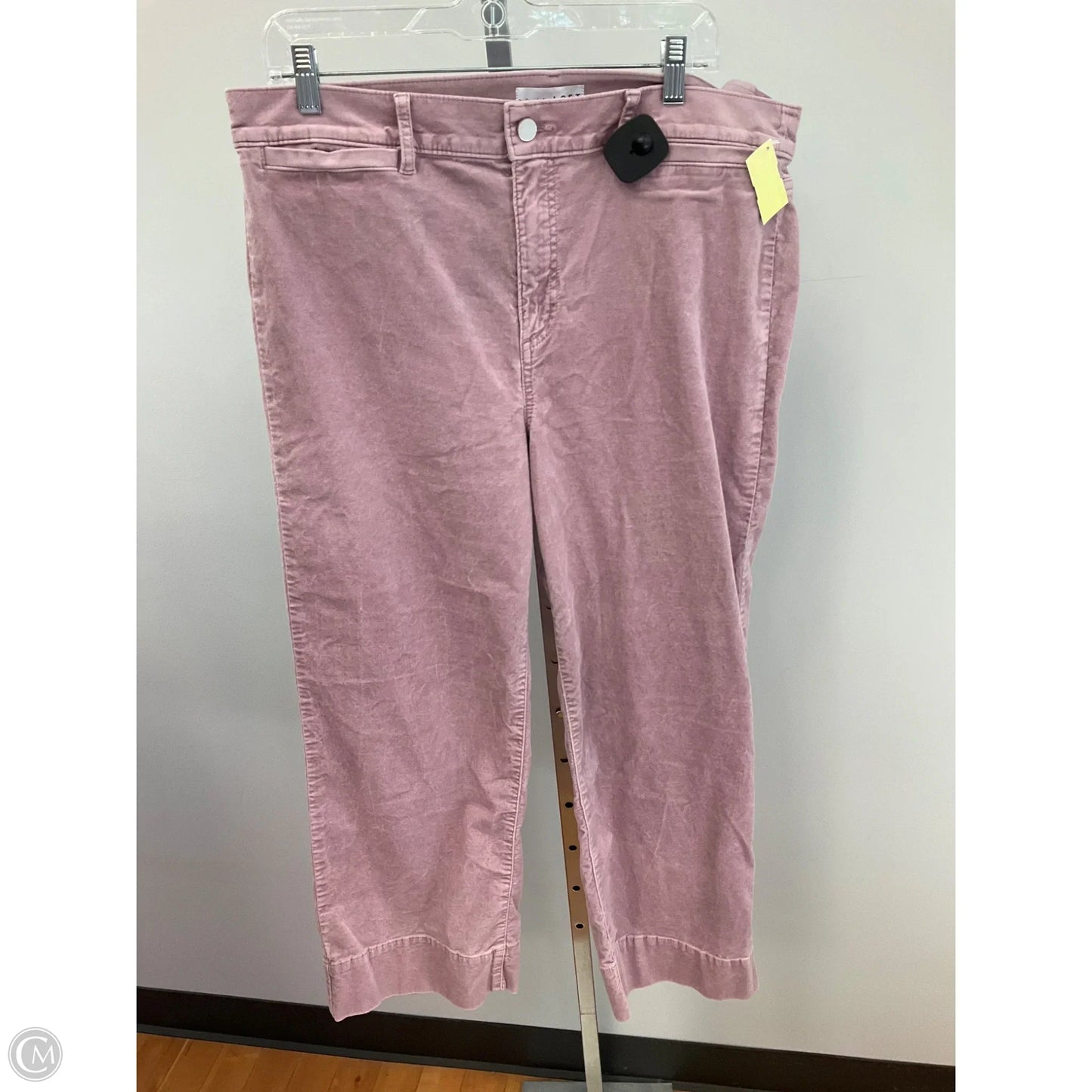 Pants Other By Loft In Mauve, Size: 16
