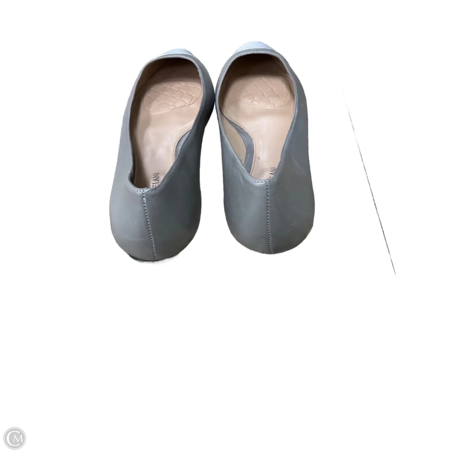 Shoes Flats By Antonio Melani In Silver, Size: 11