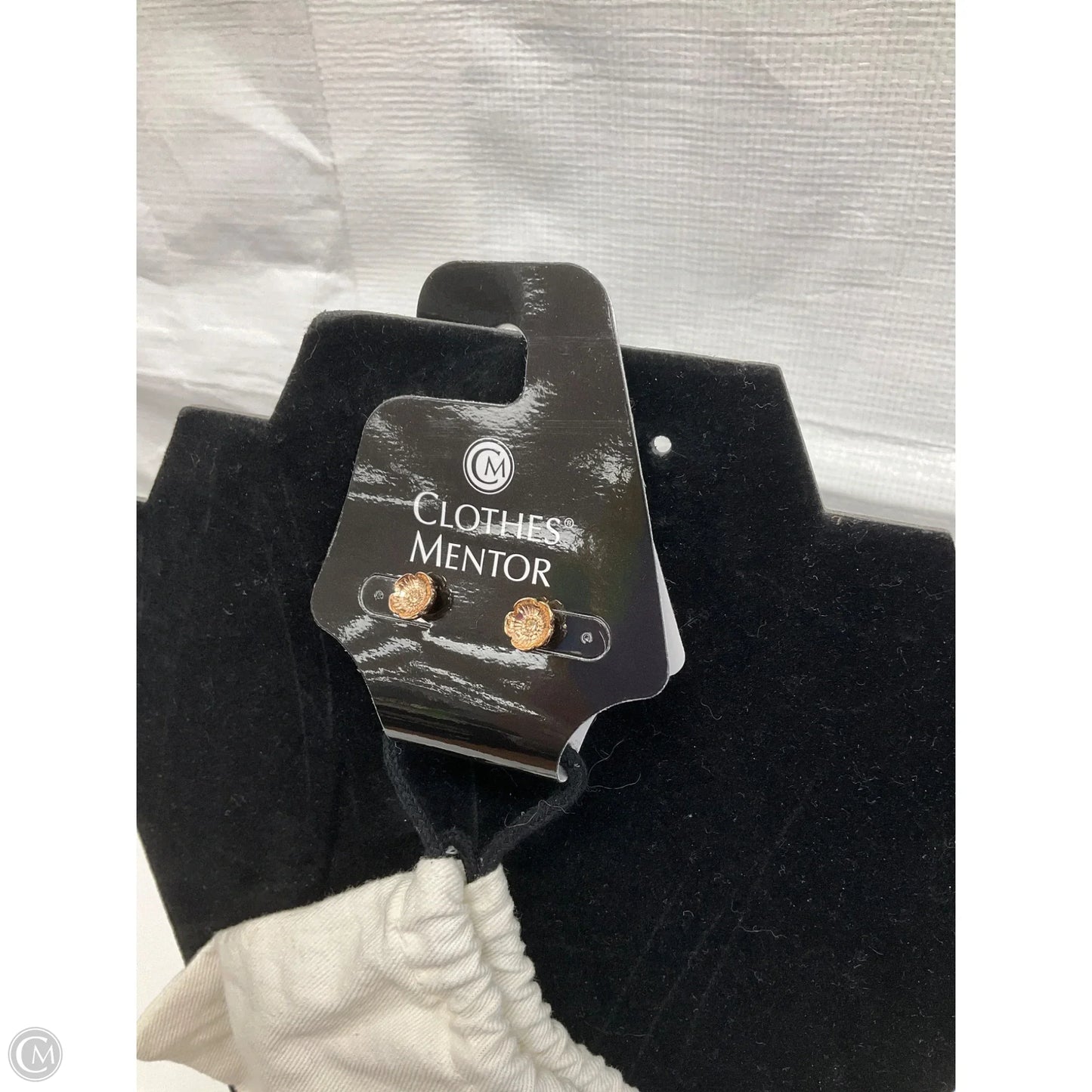 Earrings Designer By Coach