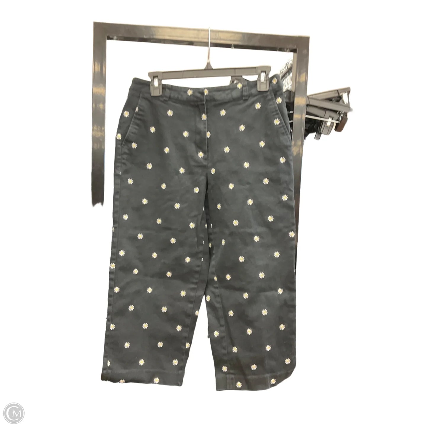 Capris By Briggs In Black, Size: 8