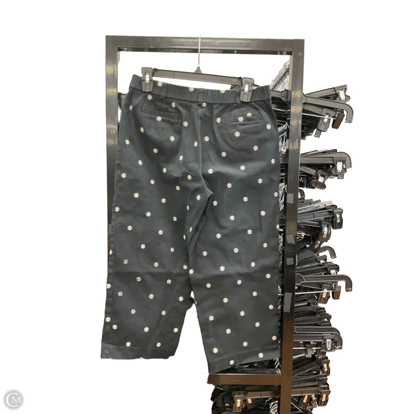 Capris By Briggs In Black, Size: 8