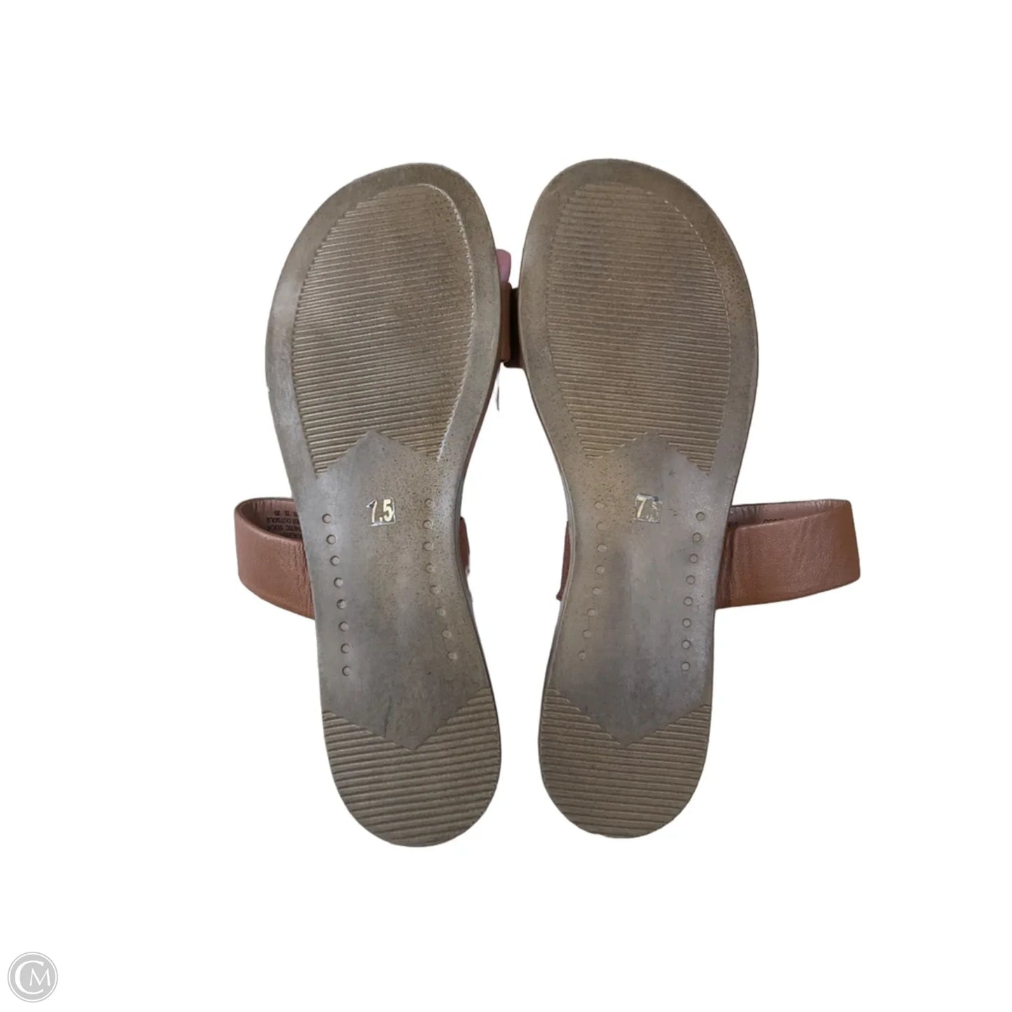 Sandals Flats By Steve Madden In Brown, Size: 7.5
