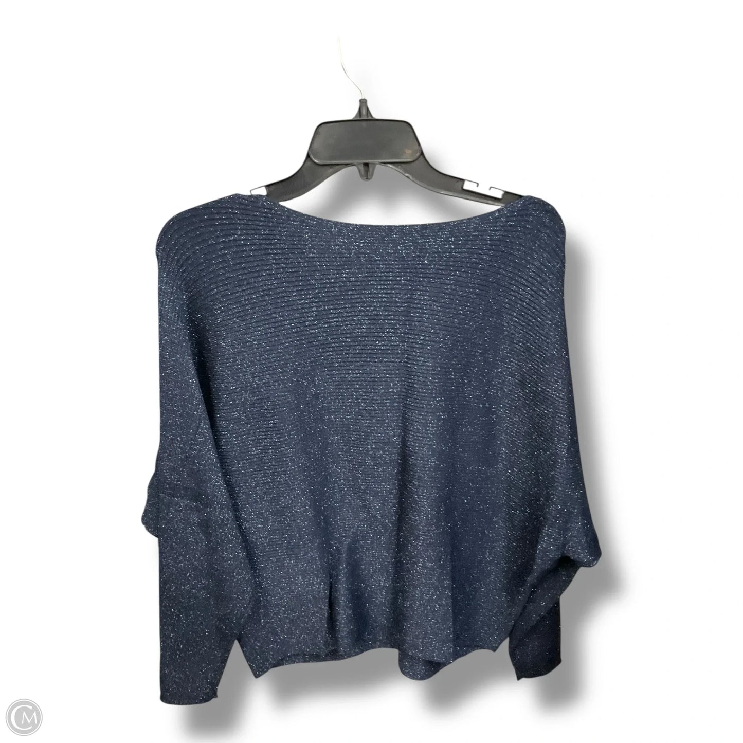 Sweater By Chicos In Blue, Size: L