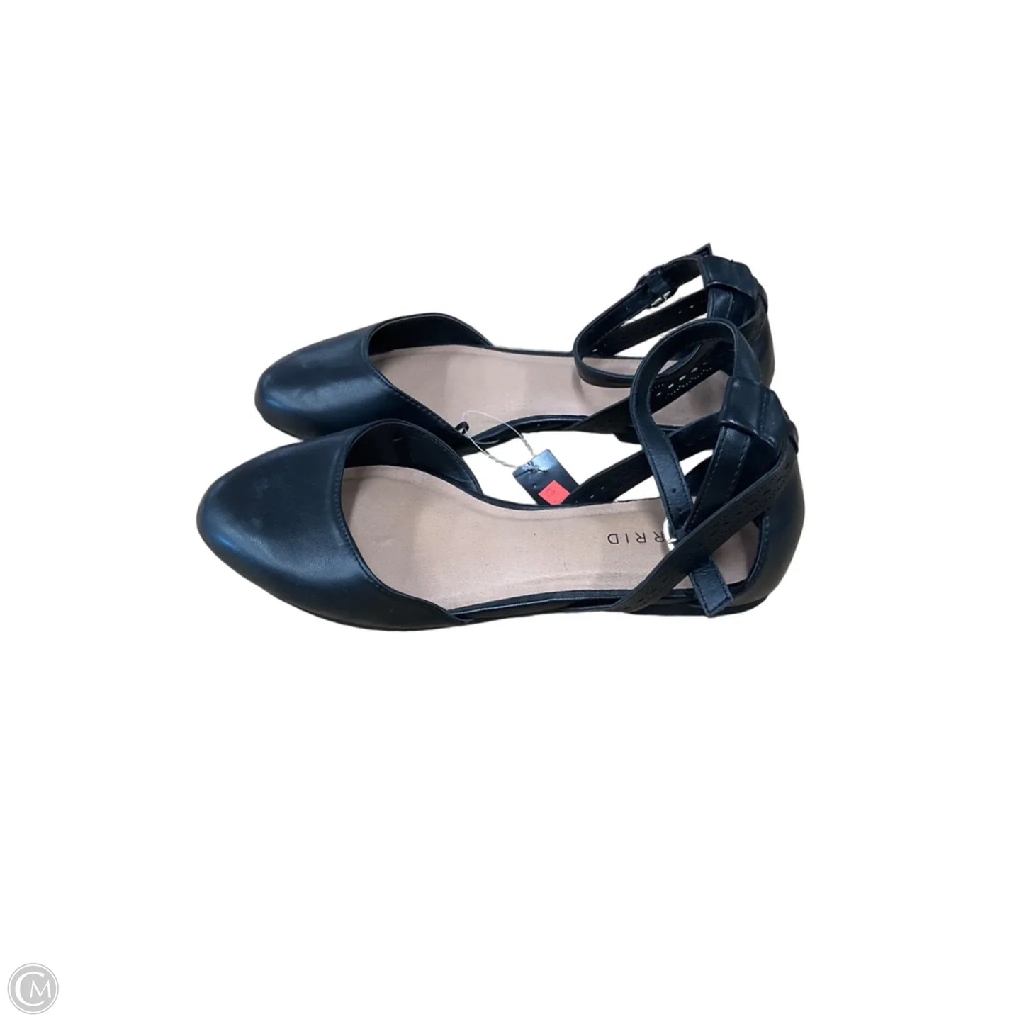Sandals Flats By Torrid In Black, Size: 8