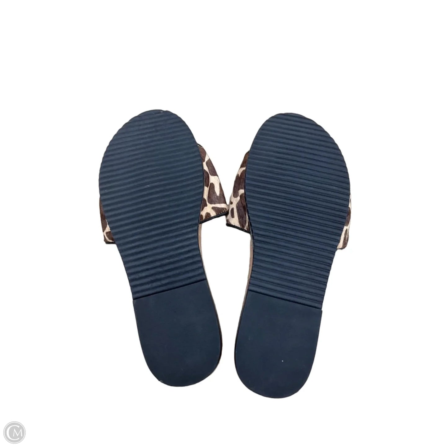 Sandals Flats By Nicole Miller In Animal Print, Size: 6