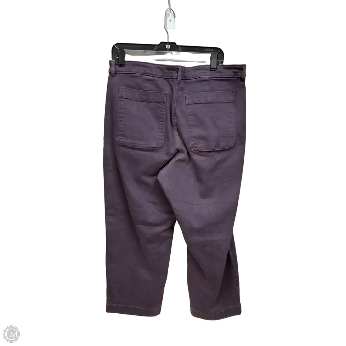 Pants Other By Everlane In Purple, Size: 18