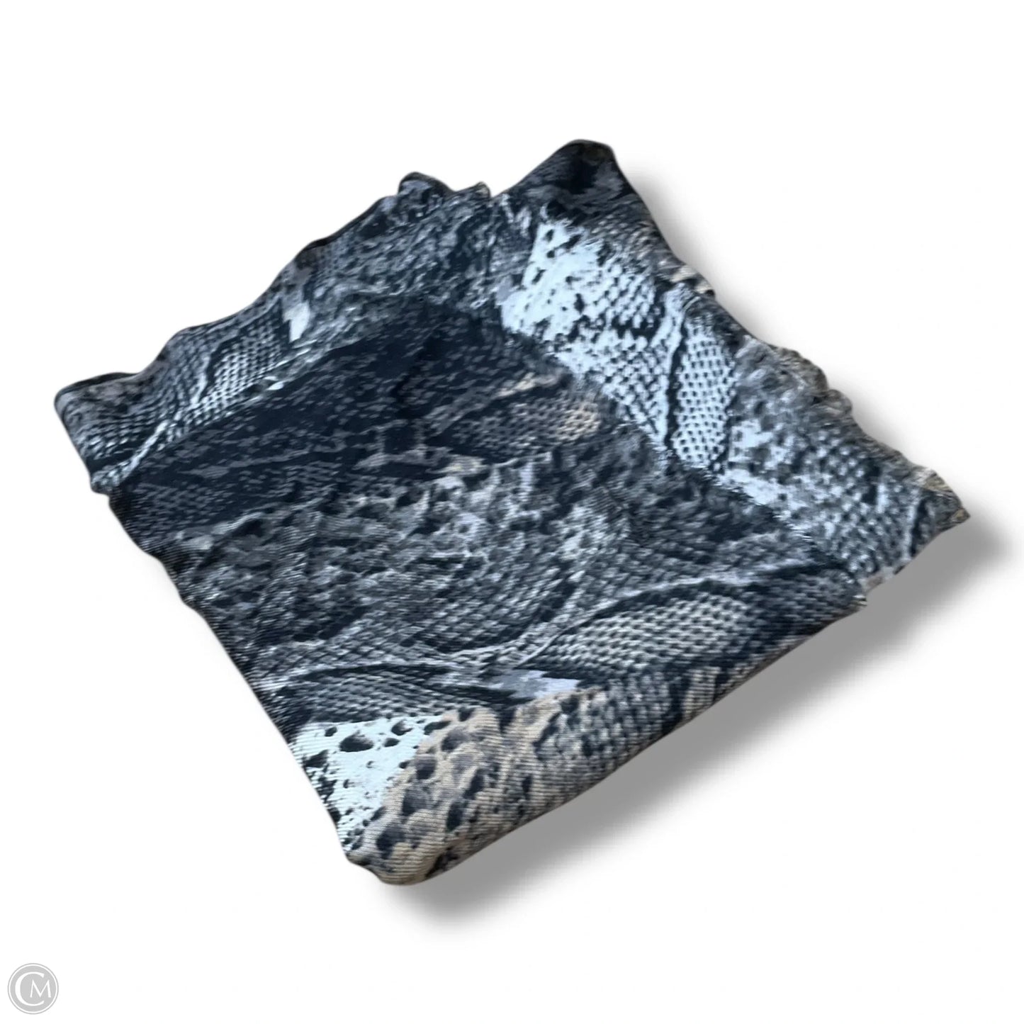 Scarf Long By Clothes Mentor