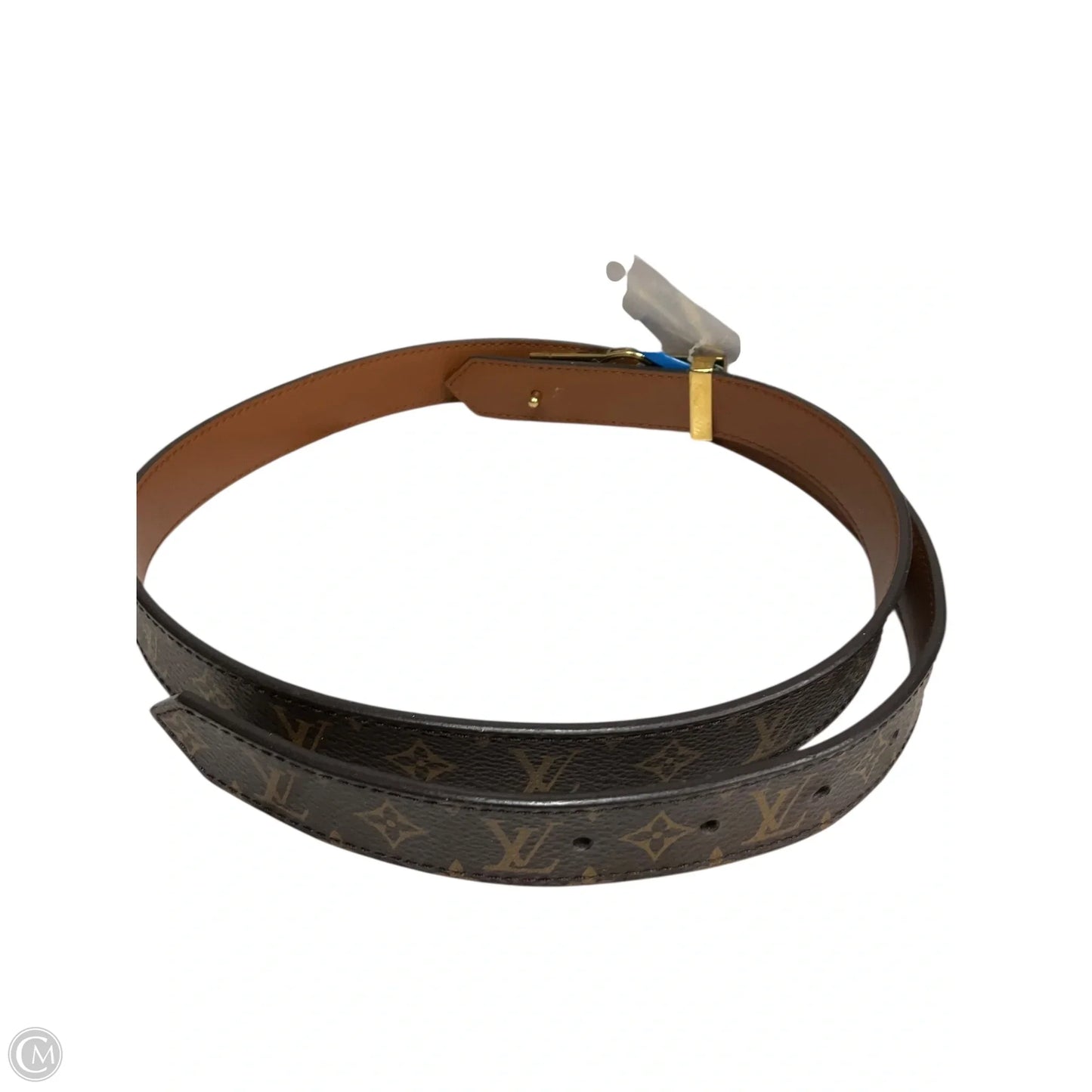 Belt Bag Luxury Designer By Louis Vuitton, Size: Medium