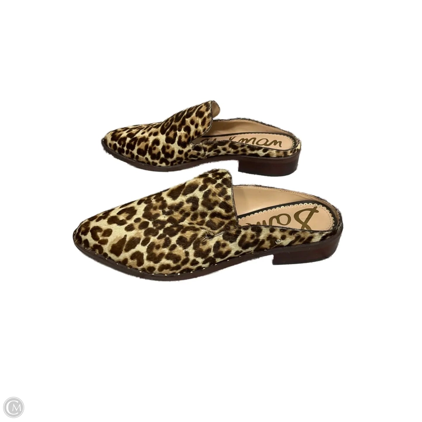Shoes Flats By Sam Edelman In Animal Print, Size: 8.5