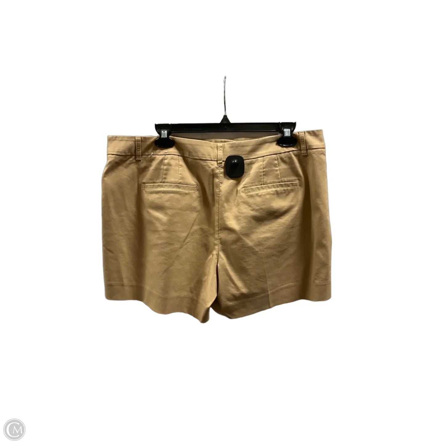 Shorts By White House Black Market In Brown, Size: 14