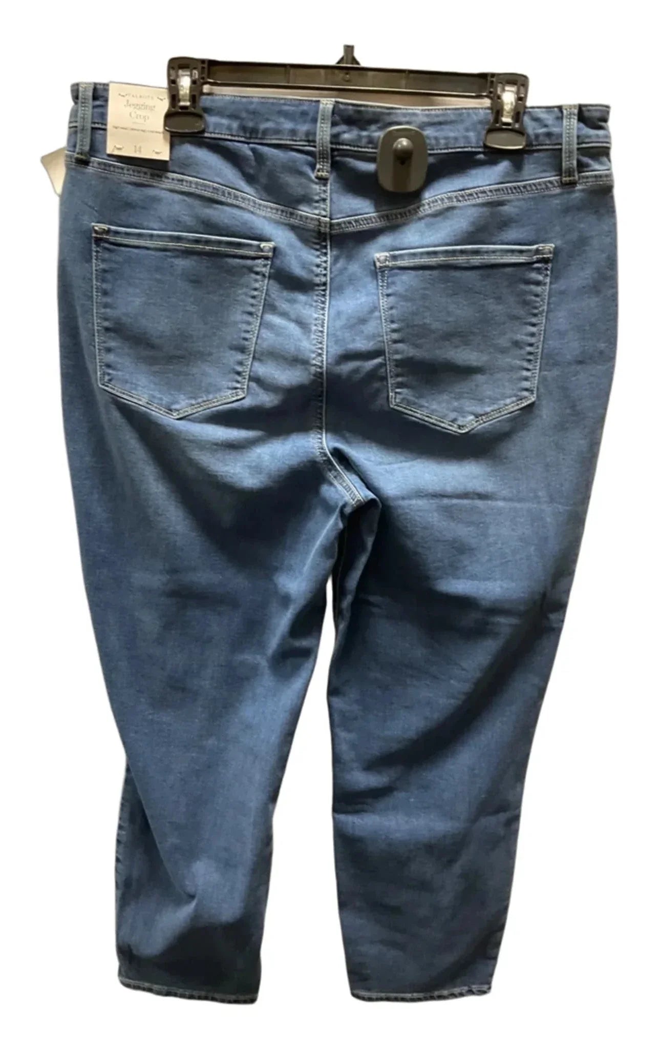 Capris By Talbots In Blue, Size: 14