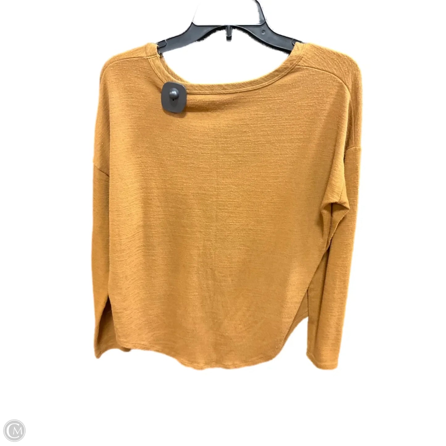 Top Long Sleeve Basic By Time And Tru In Brown, Size: S