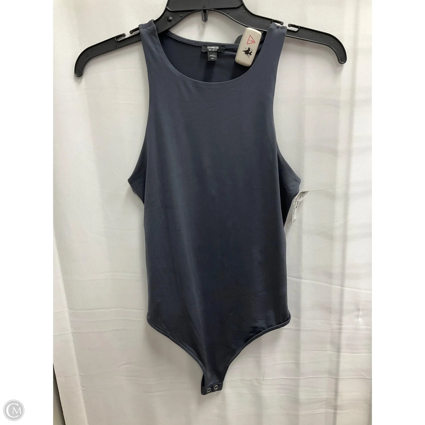 Bodysuit By Express In Grey, Size: Xs