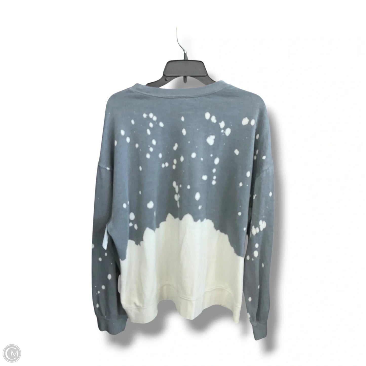 Athletic Sweatshirt Crewneck By Clothes Mentor In Grey & White, Size: 2x