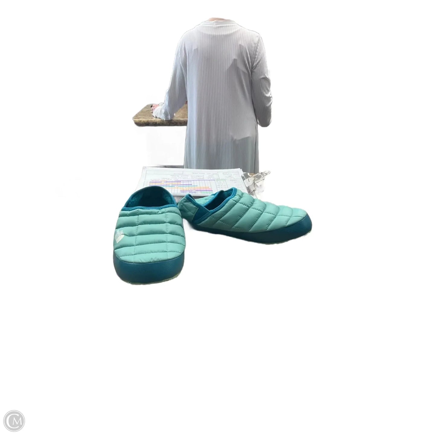 Shoes Flats By The North Face In Blue & Green, Size: 9