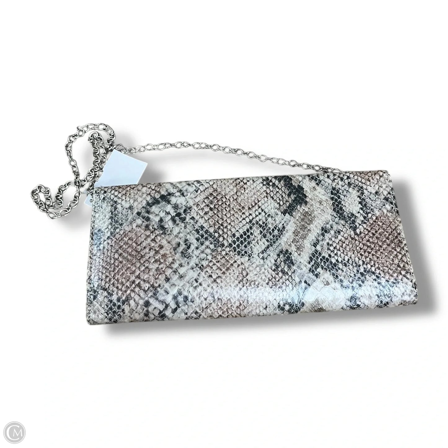 Clutch By Aldomartins, Size: Small