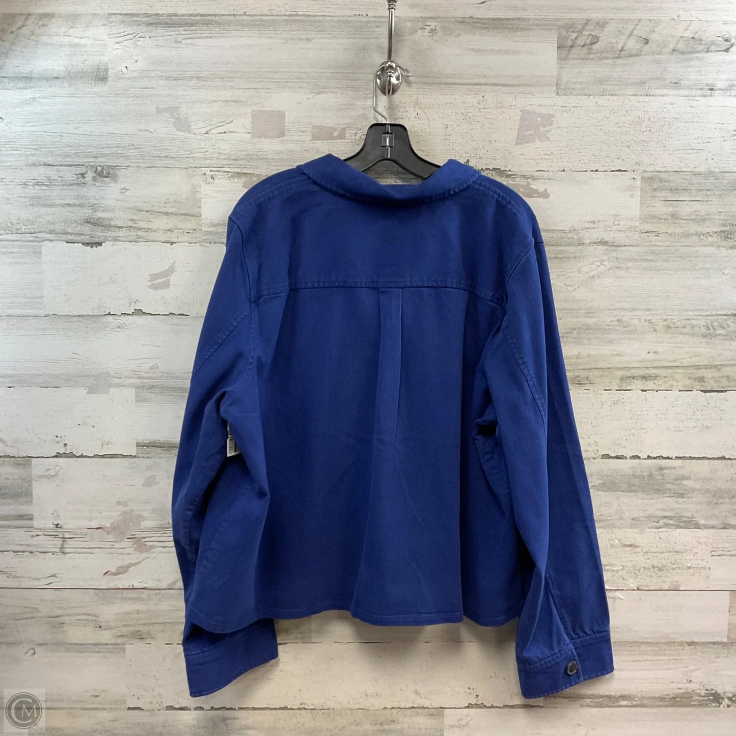Blouse Long Sleeve By J. Crew In Blue, Size: Xxl