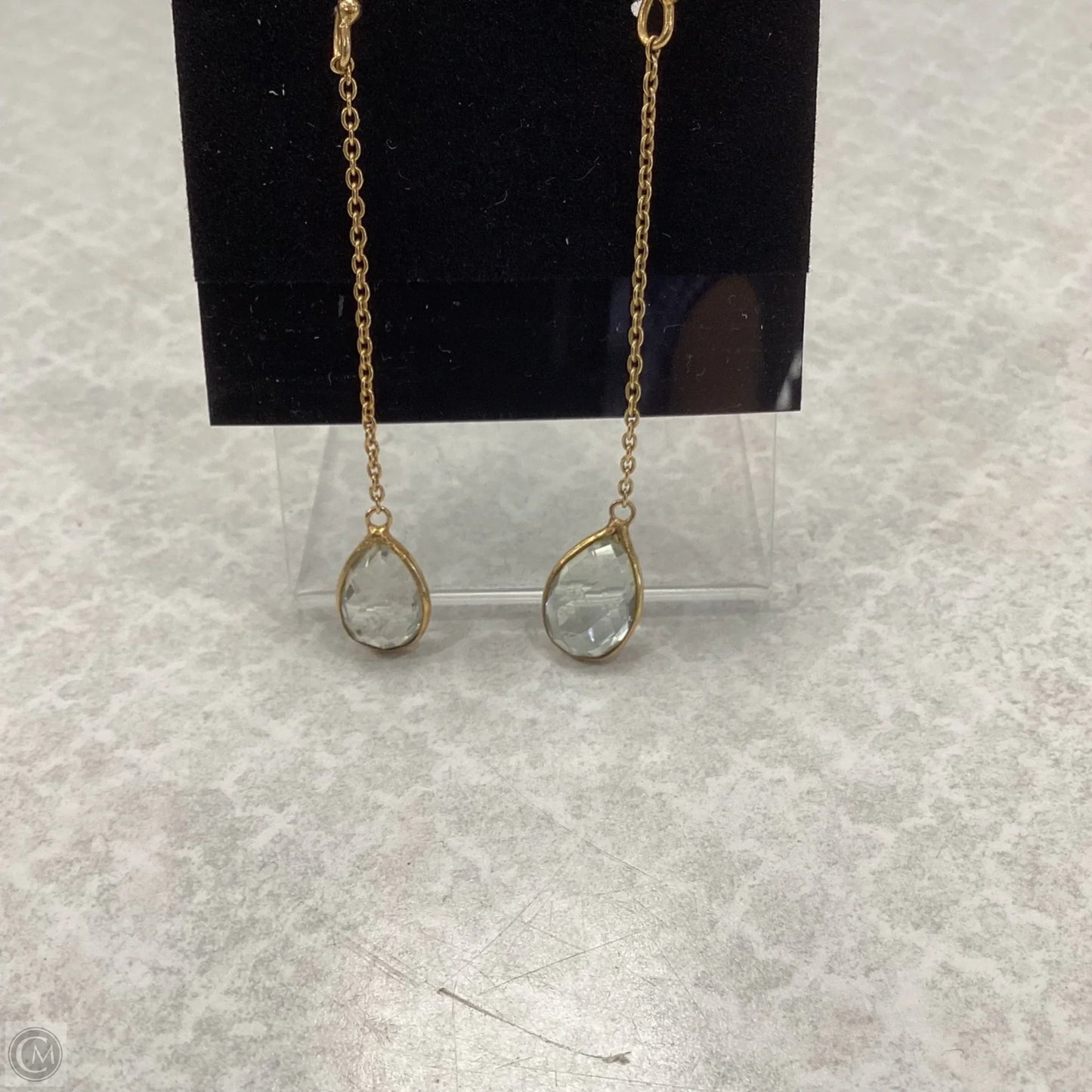 Earrings Dangle/drop By Chicos