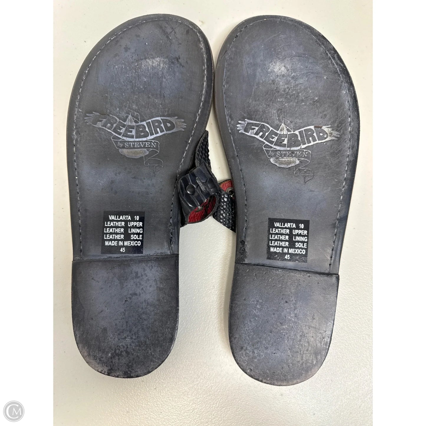 Sandals Flats By Freebird In Black, Size: 10