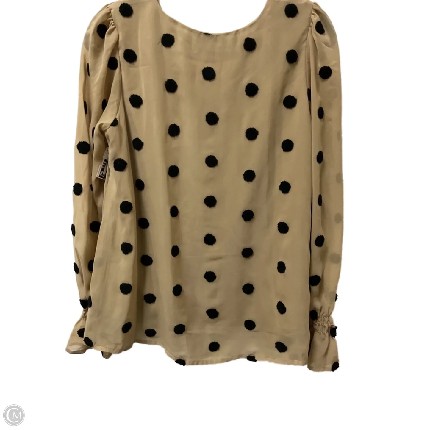 Blouse Long Sleeve By Blu Pepper In Black & Tan, Size: M