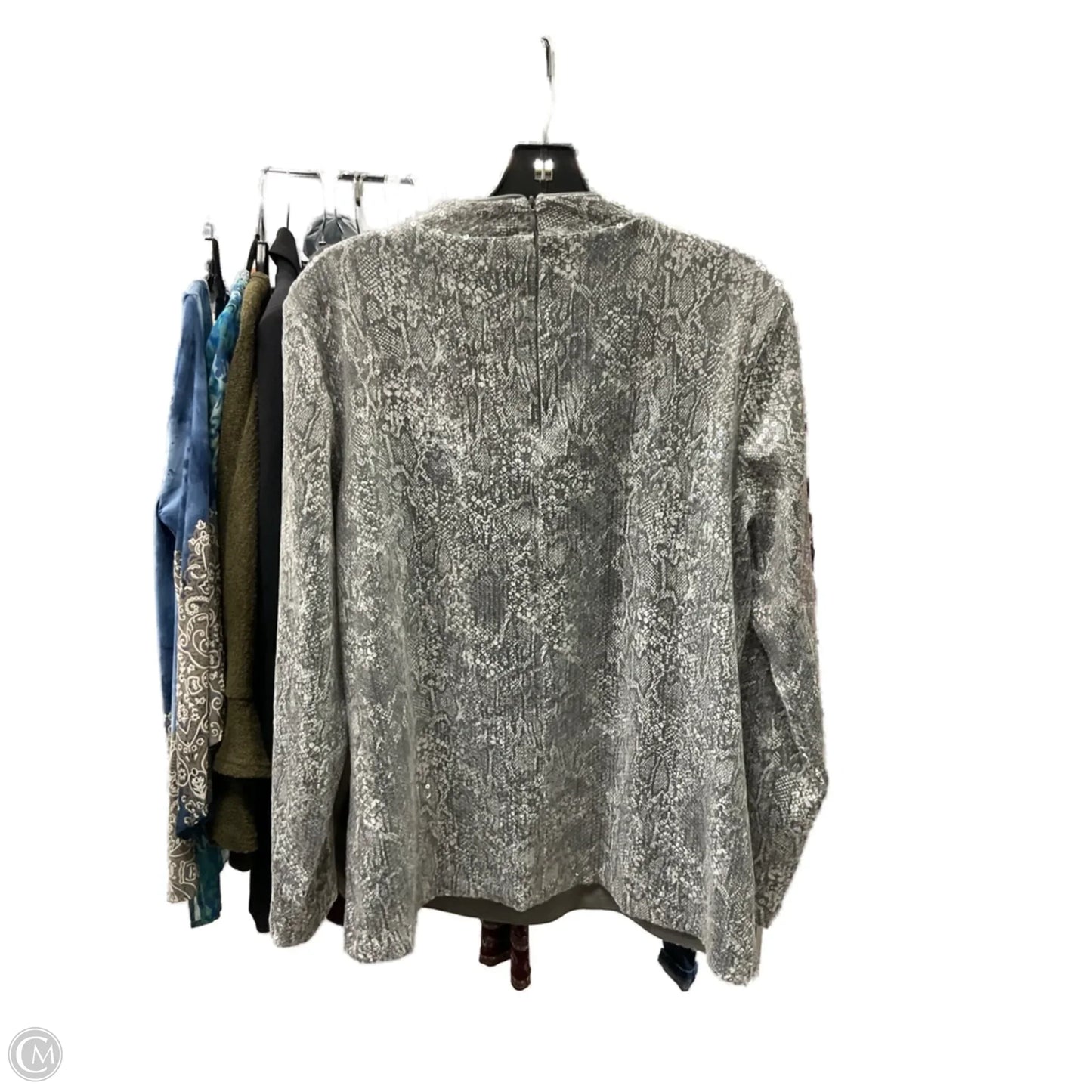 Top Long Sleeve By Chicos In Silver, Size: L